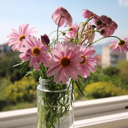 Διαμέρισμα Tonka Τρογκίρ